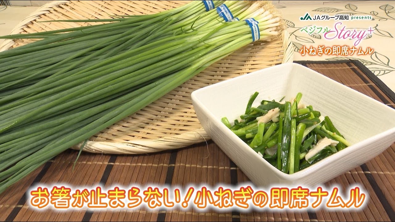 小ねぎ - 【公式】JA高知県 ｜県産品の通販も