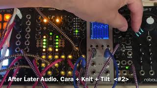 After Later Audio Beehive (uPlaits) - Eurorack Module on ModularGrid