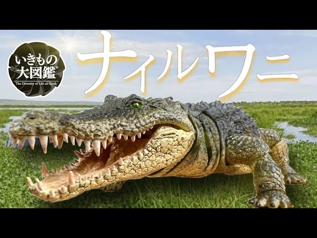 いきもの大図鑑 アルティメット ナイルワニ 開封レビュー 素晴らしい