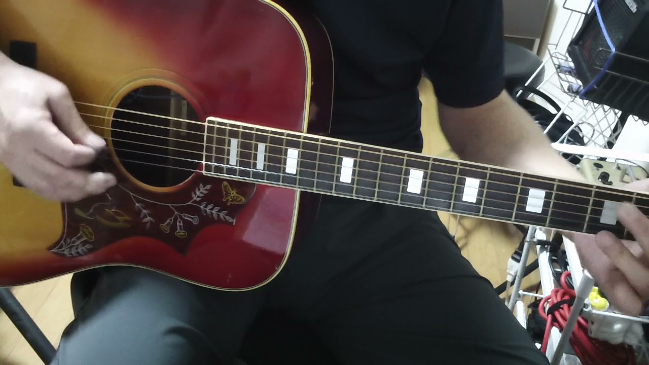 神田商会 ”CANDA 202” ハミングバードモデル DEMO PLAY (Live sound