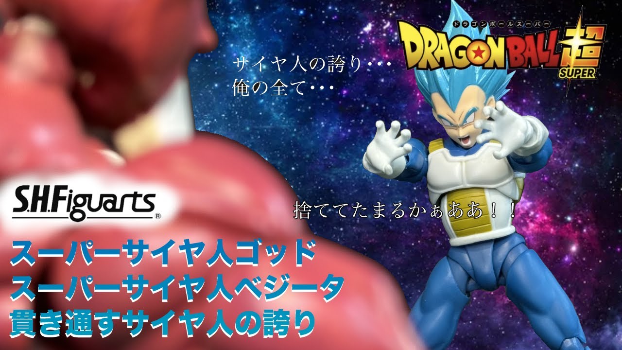 SHフィギュアーツ スーパーサイヤ人ゴッド スーパーサイヤ人 ベジータ