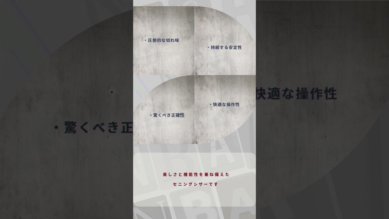 N.B.A.A. セニングシザーGM 22(カット率約20％/NB-GTR1)ジェニュイン