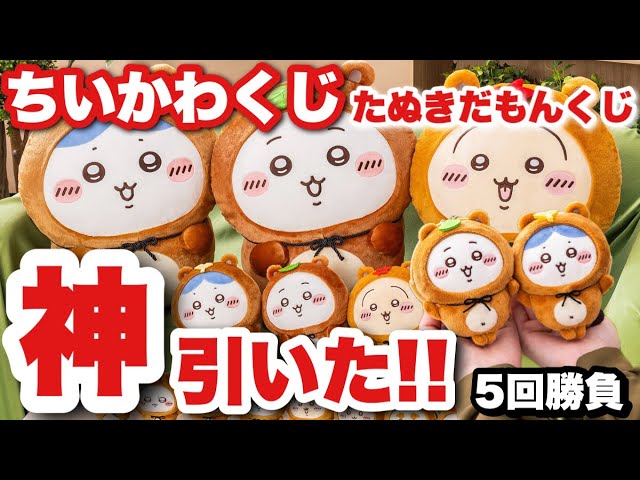 Chiikawa Lottery] The 