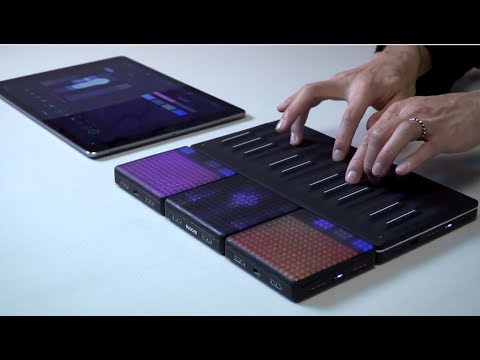 ROLI Lightpad Block M - Wireless Touchpad Controller | Sweetwater