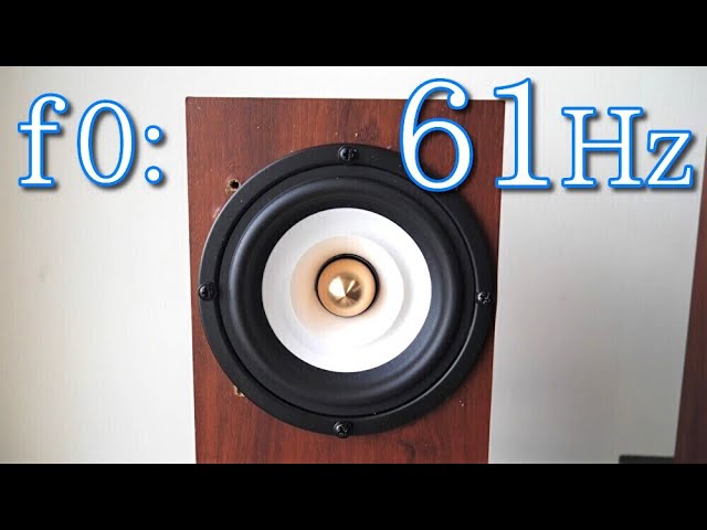 低音型10cmフルレンジスピーカー空気録音 WP-FL10 A級駆動アンプ