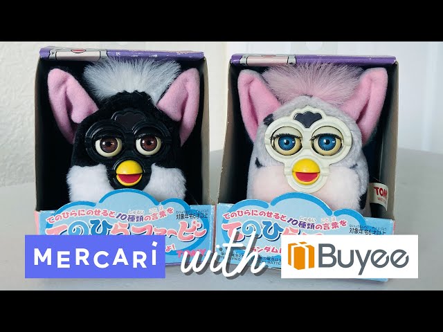 My Experience Buying Palm Sized Furbys with Buyee, Japanese Proxy