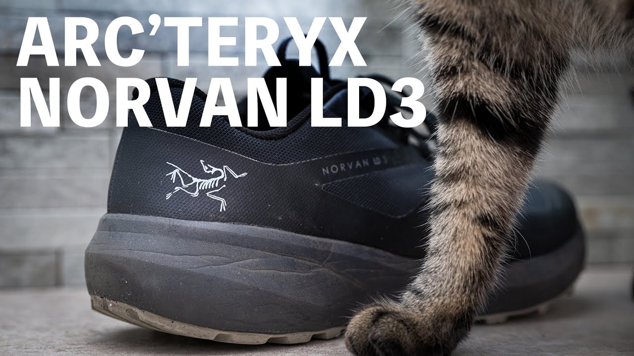 アークテリクス】アウトドアに最適ノーバンLD3【アウトドアシューズ