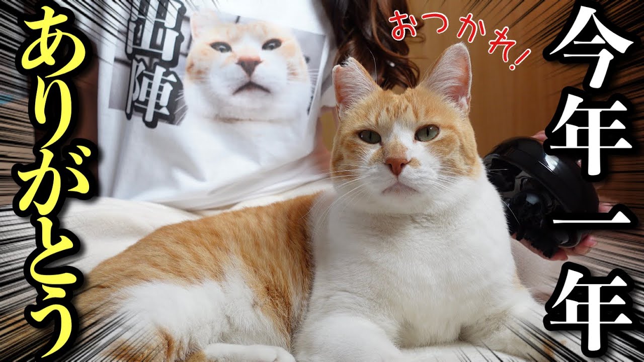 Ending 2022 with a Joyful Wedding Vlog - YouTube