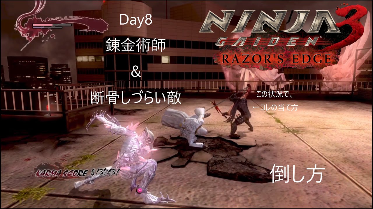 NINJA GAIDEN 3 RE 
