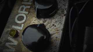 SLOW LORIS - ギズモミュージック