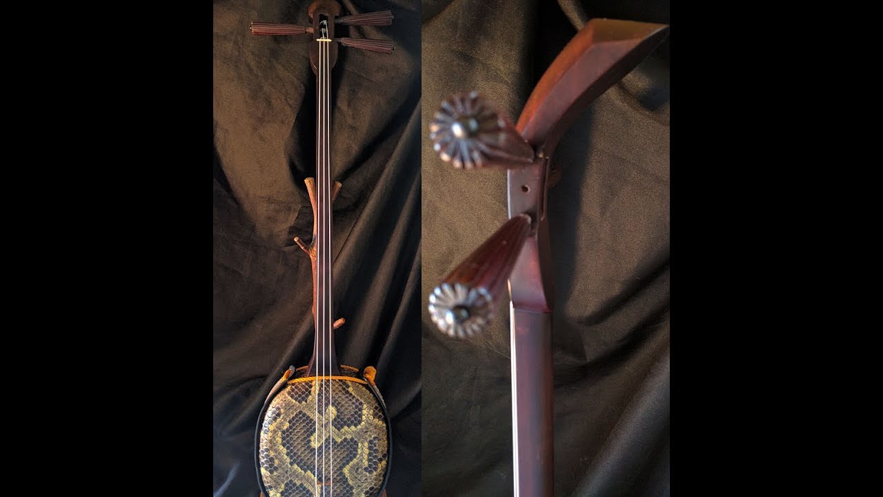 沖縄国頭ゆし木、八重山ゆし木 実入り三線 - YouTube