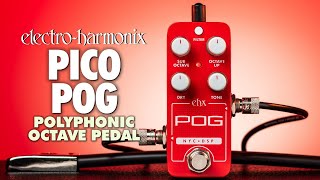 Pico POG | Polyphonic Octave Generator - Electro-Harmonix