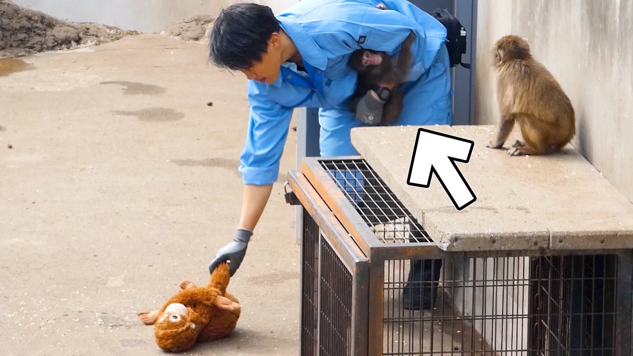 LIONS 70th SPECIAL MOVIE 獅子の敵は獅子だ。vol.01「東尾修 × 松坂