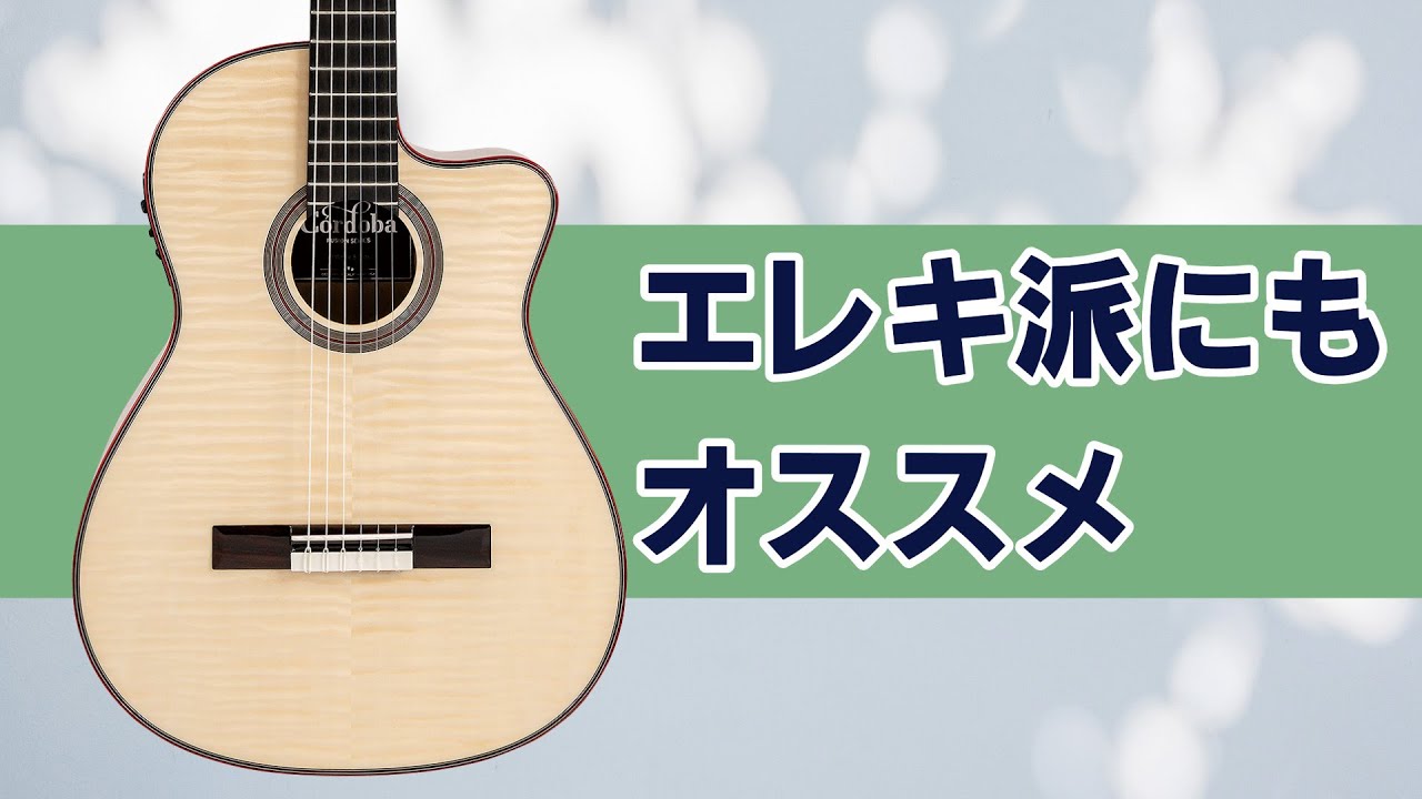 Cordobaから、弾きやすさ満点なナイロン弦エレアコ！ Fusion 12 White