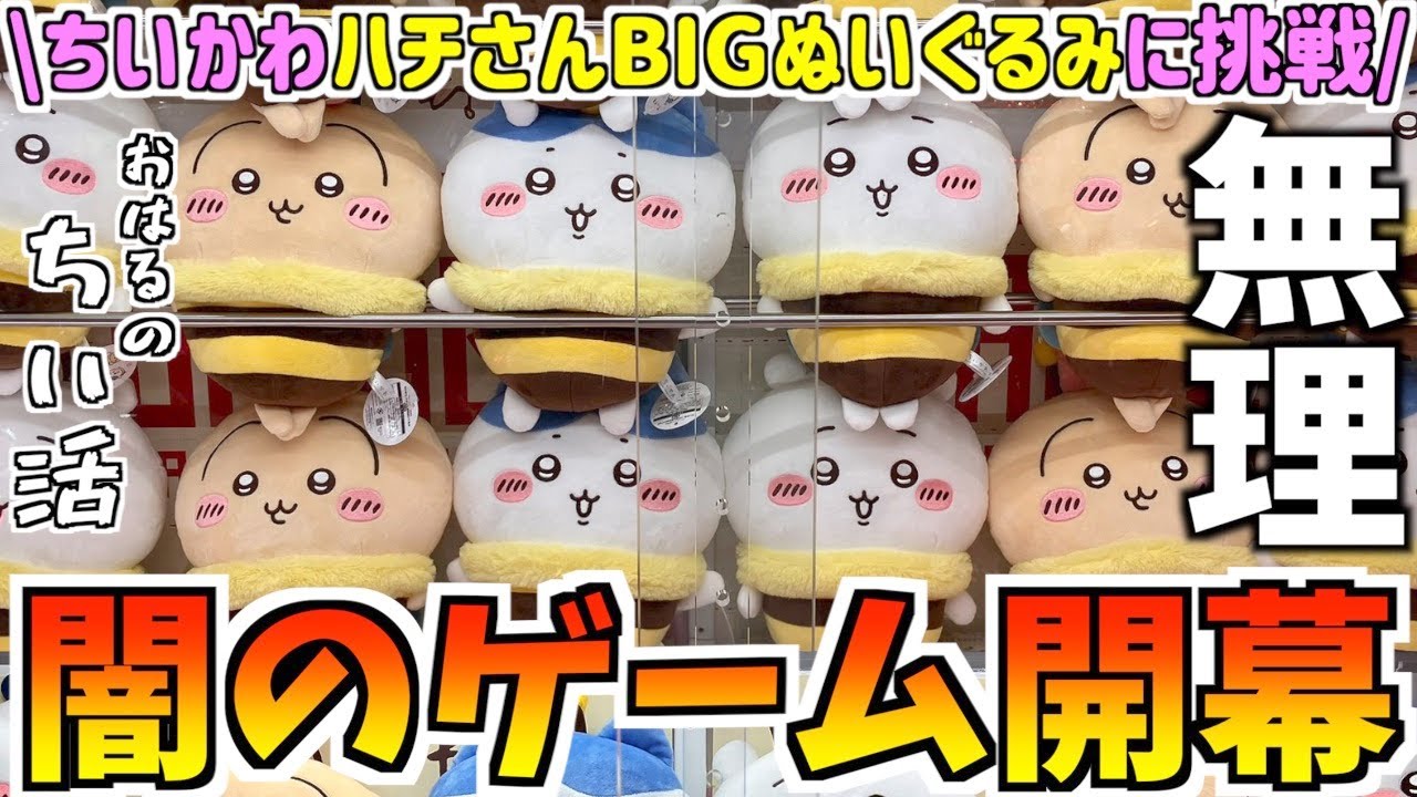 Chiikawa] Try out the latest prize, Hachi-san Big Plush Toy