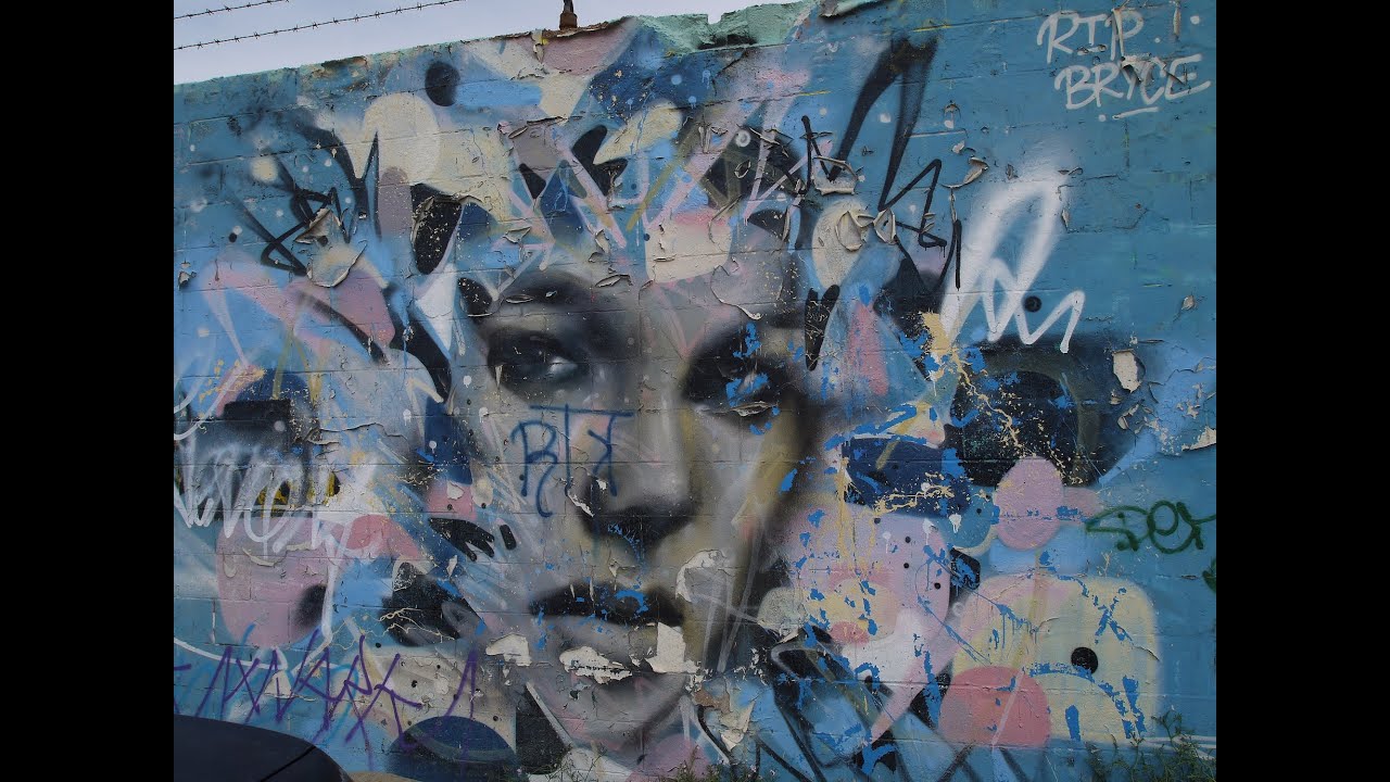 Shane Gaalaas Official Website