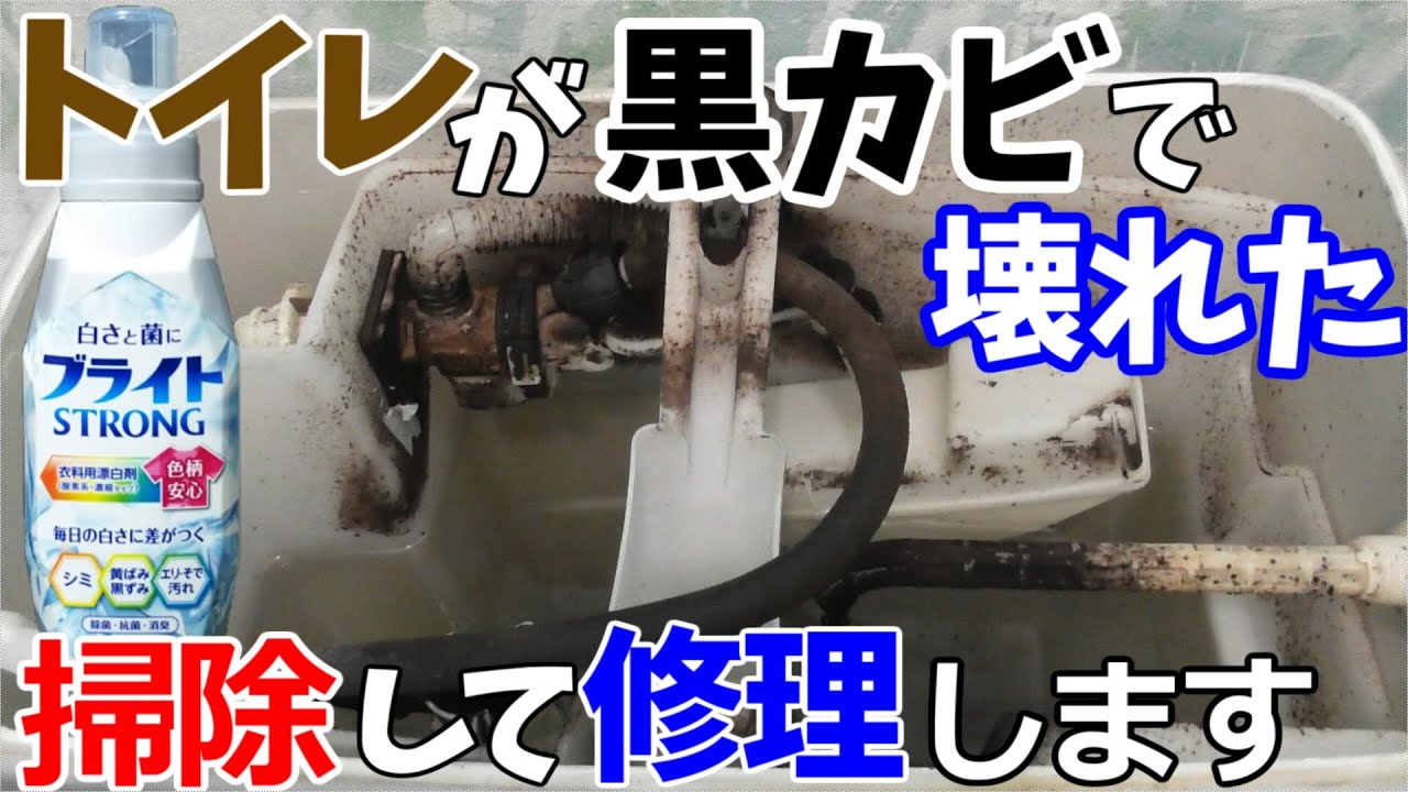 The toilet stopped flushing, so I opened the lid and found it