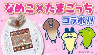 TamagotchP'sでなめこっちを育ててみた - YouTube