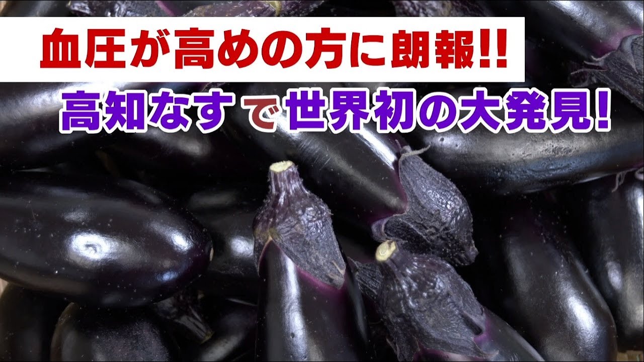 機能性表示食品「高知なす」(12kg/3本×50袋)AM【通常納期より数日要す