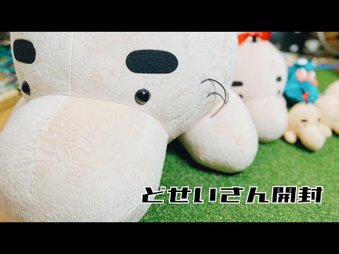 ひざたけどせいさん開封レビュー MOTHER2/マザー2/earthboud - YouTube