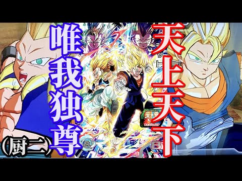 環境これ1枚で変わります】UGM9弾SECベジット＆ゴテンクスを使ってみた