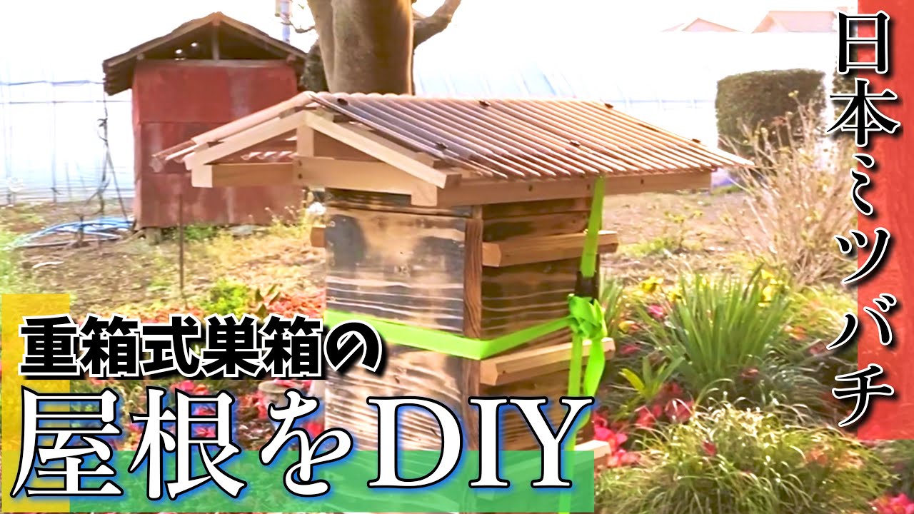 ある日の日本ミツバチ】重箱式巣箱の屋根をDIY - YouTube
