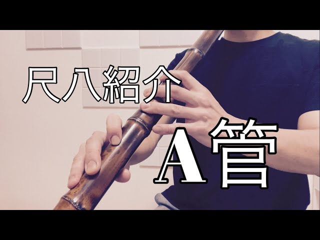 尺八紹介 翔童銘 A管 二尺四寸管(二尺三寸管) 琴古 - YouTube