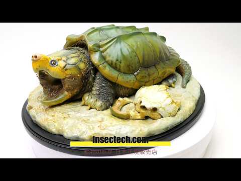 動物の惑星】「写実シリーズ」ワニガメPLUS超特大Macrochelys