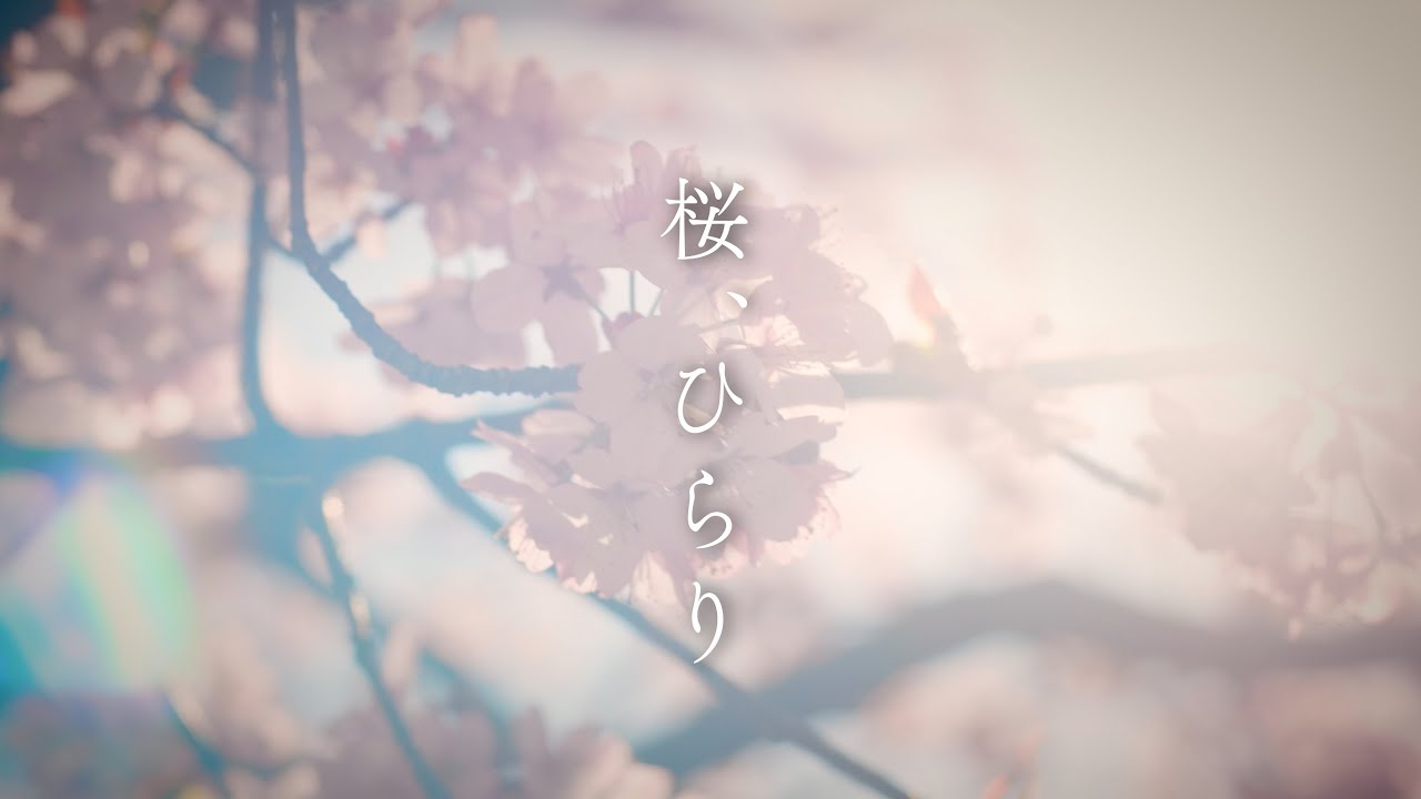 SOUTHERN ALL STARS | A!SMART