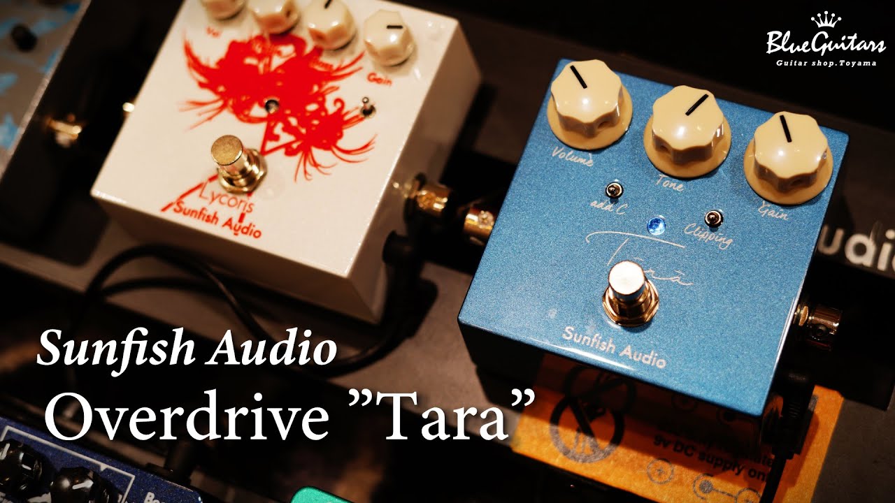 Sunfish Audio Tara 増崎孝司さんプロデュースの汎用型オーバー