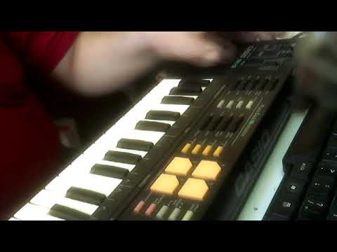 Casio SK-8 Test / Riva Lima - YouTube