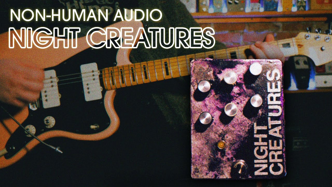 NIGHT CREATURES - ギズモミュージック