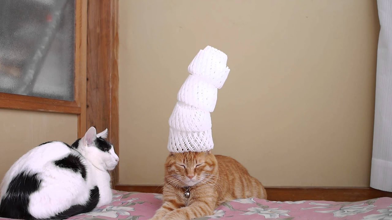 maxresdefault.jpg?sqp=-