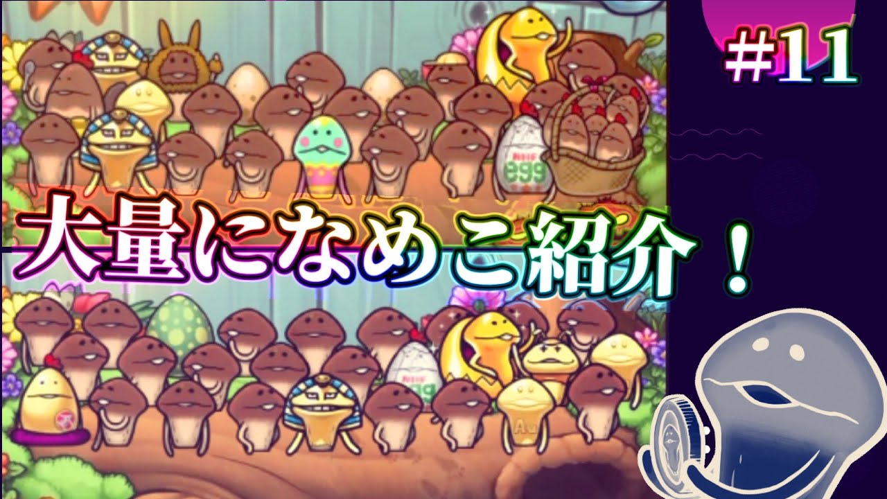 なめこ栽培】#11- 大量のなめこ達をツッコミながら紹介していくー