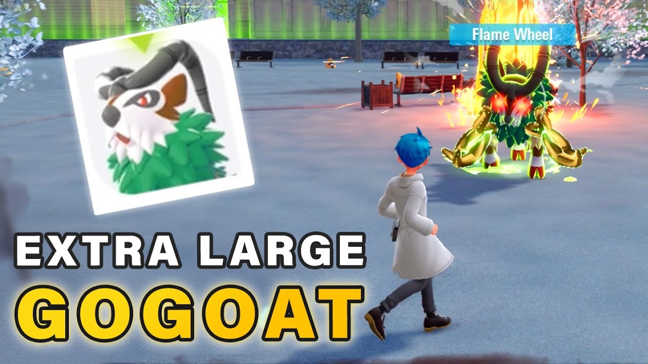 How to Get An Extra Large Gogoat | Side Quest Guide ▻ Pokemon