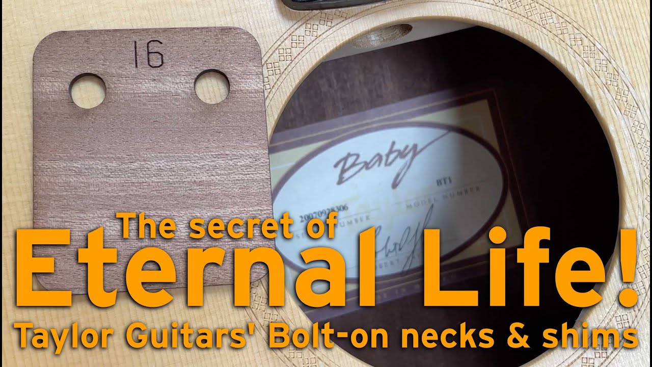 Taylor Baby neck reset and set up - YouTube