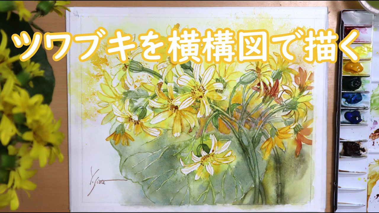 Drawing Leopard plant in horizontal composition. - YouTube