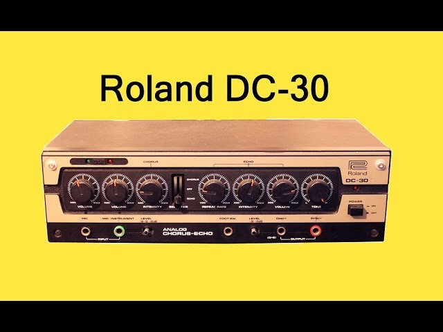 RolandローランドDC30アナログエコーディレイユニット(あ96) Roland
