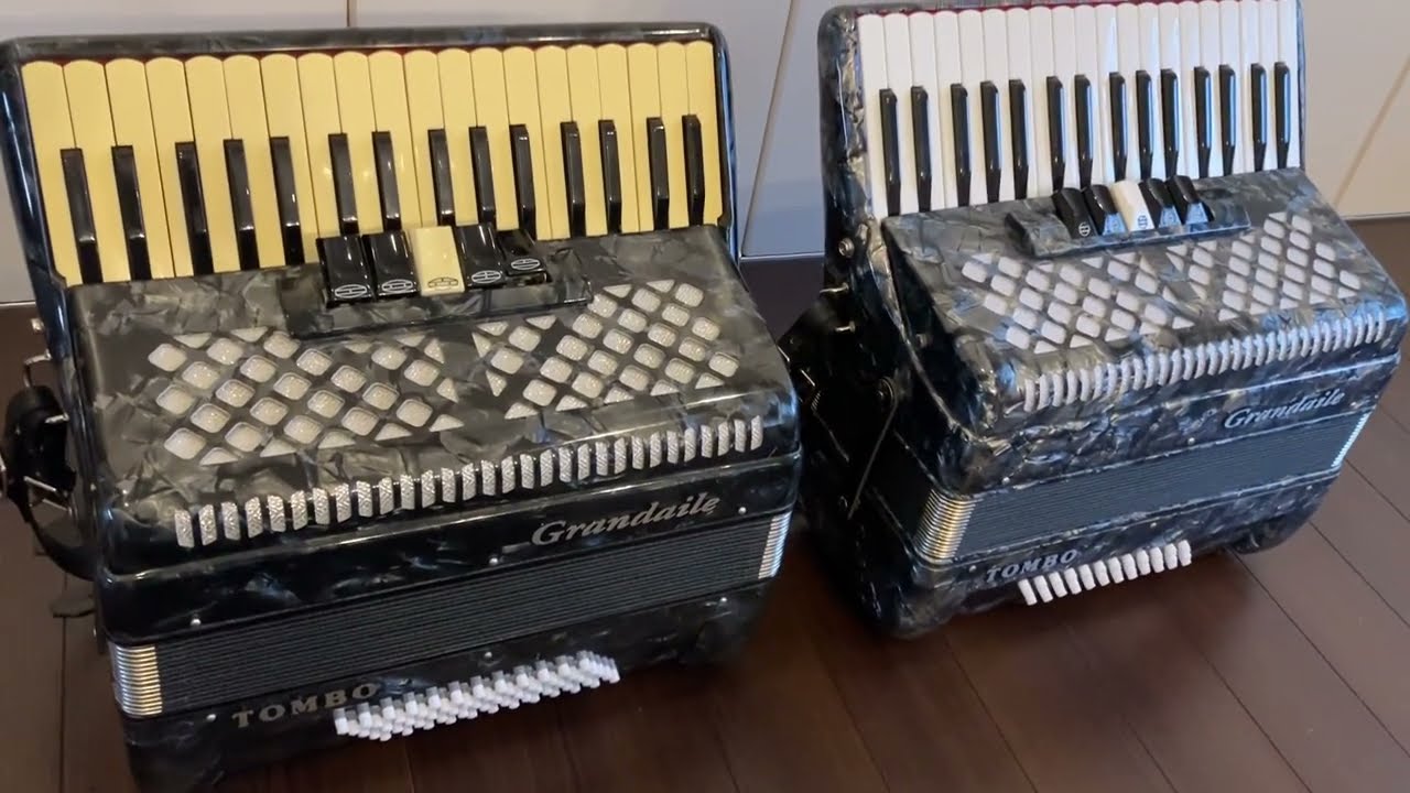 TOMBO GT‑60 vs GT‑60B 比較｜何が違うか徹底解説（アコーディオン