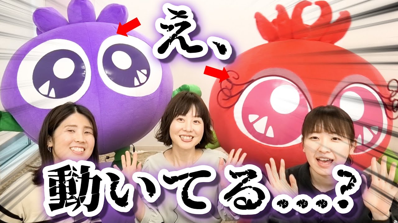 ブルブルくん】世界初！ブルブルくんロボット爆誕！【わかさ生活ラジオ