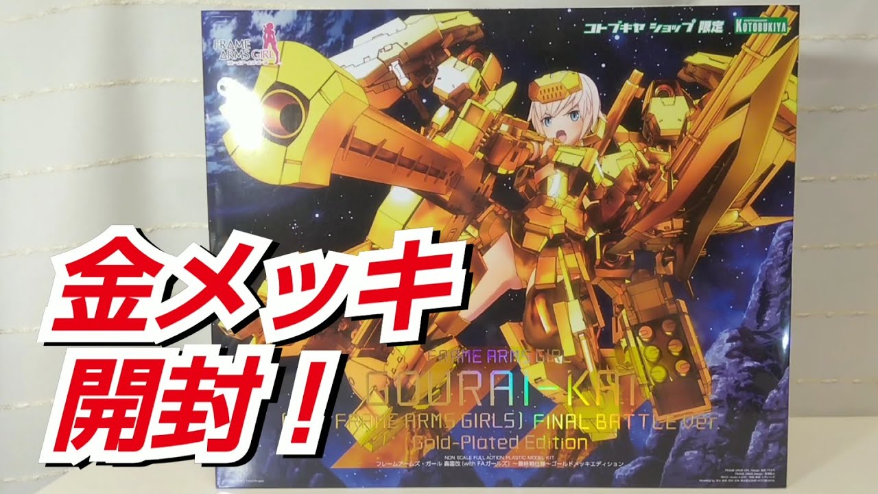 開けて見るだけ｣ﾌﾚｰﾑｱｰﾑｽﾞ・ｶﾞｰﾙ 轟雷改(with FAガールズ)～最終戦仕様