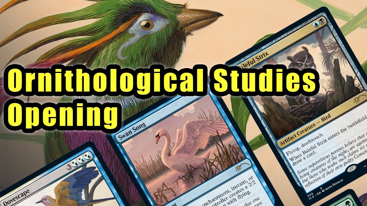 Ornithological Studies Secret Lair Opening - YouTube