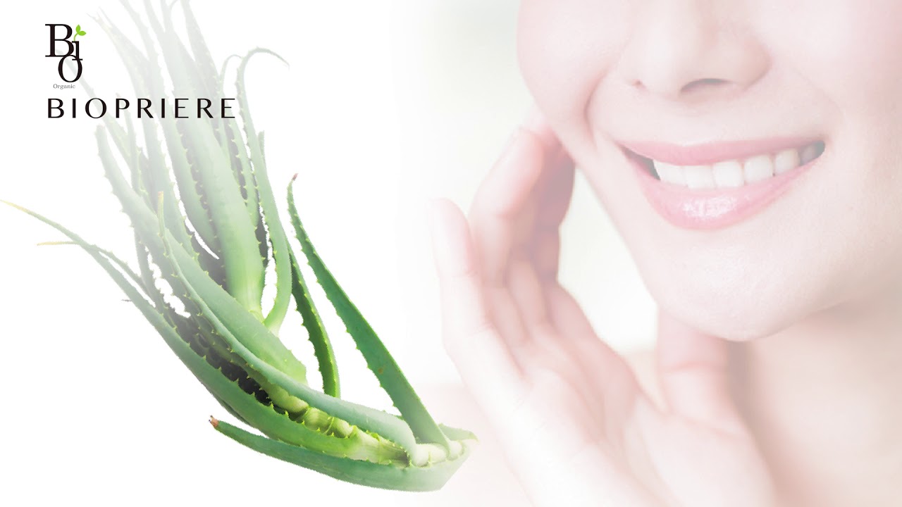 ビオプリエール | Wealth