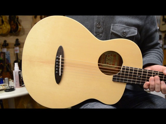 NEW/aNueNue Bird Guitar aNN-M1 【チョイ傷特価】@guitarshoptantan