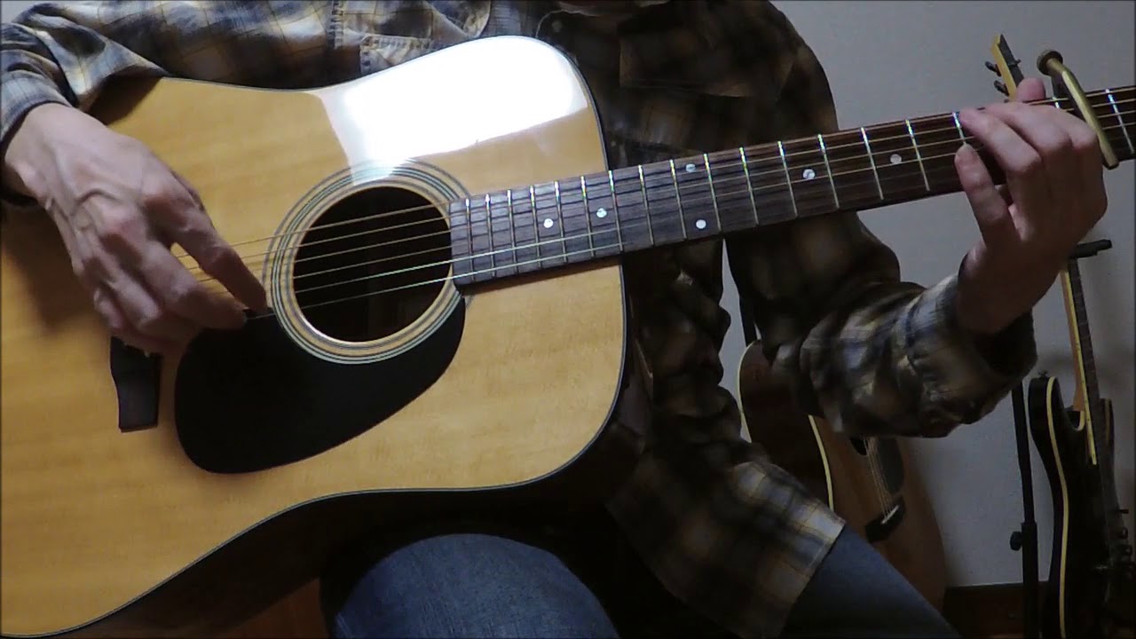 S.YAIRI YV-18 オール単板 ドレッドノート S.YAIRI YV-18 オール単板