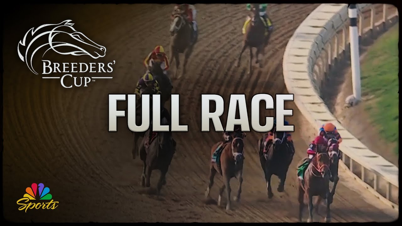 FOREVER YOUNG (フォーエバーヤング) WINS THE BREEDERS' CUP CLASSIC