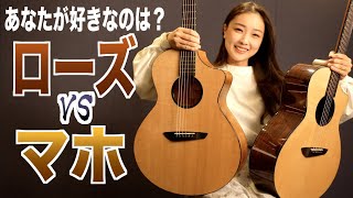 A completely different beast] The Berg Guitar, an acoustic guitar