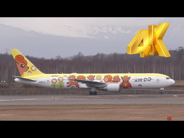 4K]きつねポケモン「アローラロコン」と「ロコン」のロコンジェットを