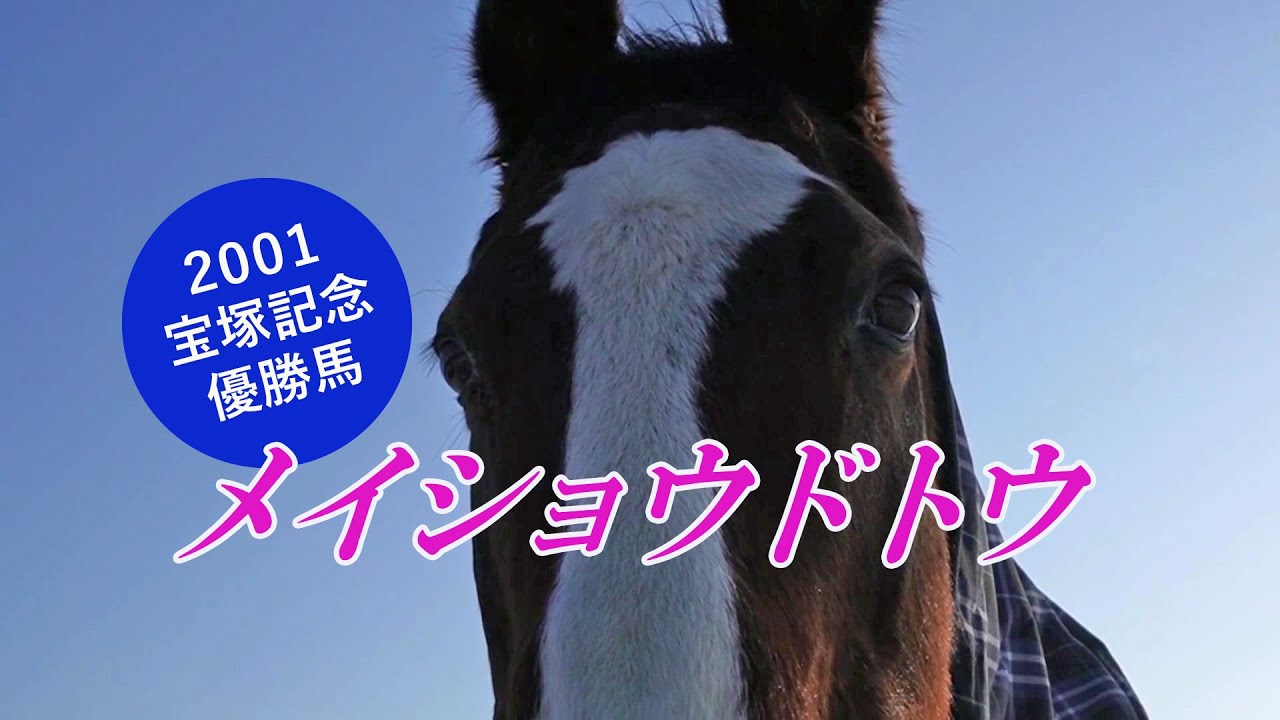 メイショウドトウ Meisho Doto～2001宝塚記念優勝馬 - YouTube