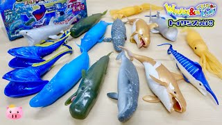 狙うはトイザらス限定の3種類♪デアゴスティーニ くじら&Co.ビッグ 2箱